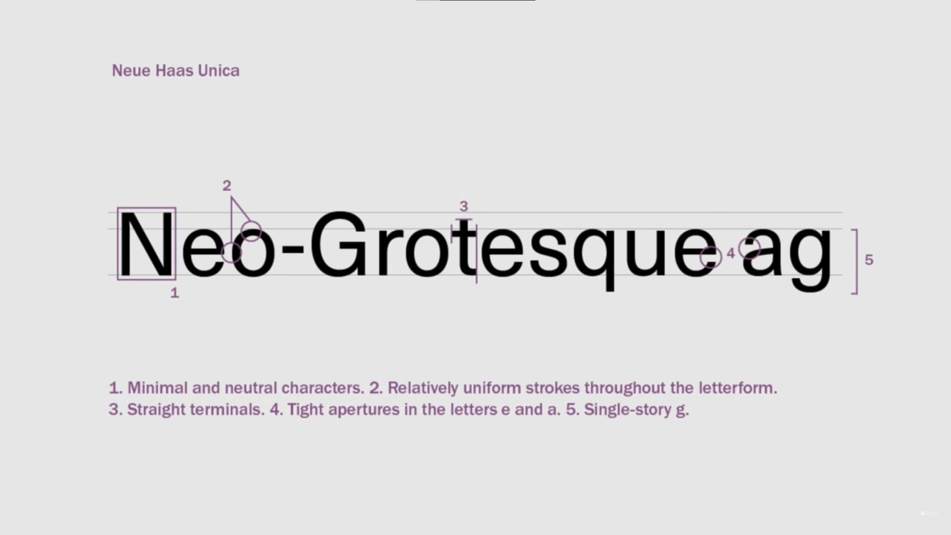 neo grotesque typefaces
